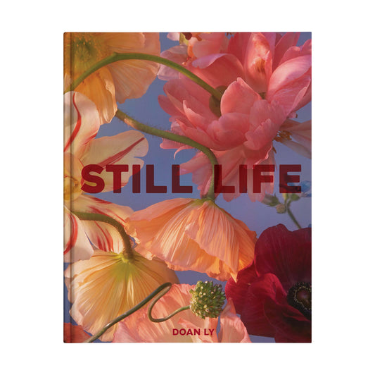 Doan Ly | Still Life